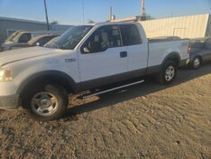 2004 FORD F150