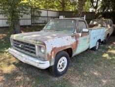 1979 CHEVROLET C20