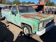 1979 CHEVROLET C20
