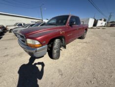 1999 DODGE DAKOTA