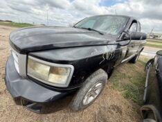 2011 DODGE DAKOTA